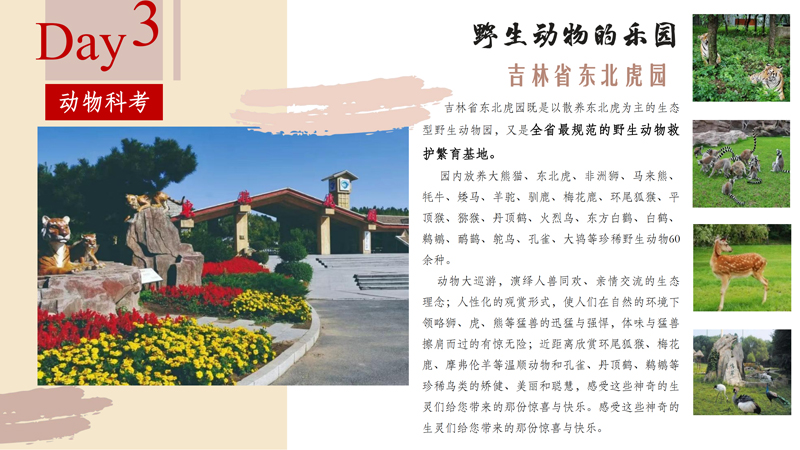 研学之大美吉林研学方案V2_32.jpg