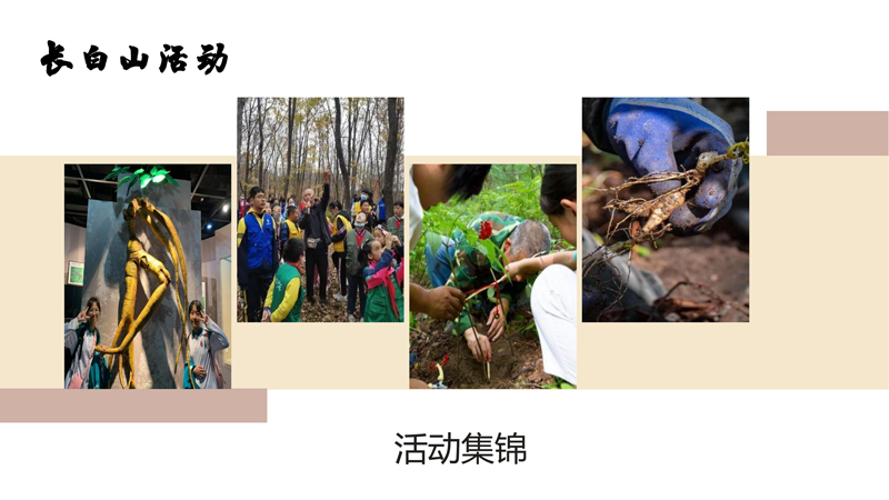 研学之大美吉林研学方案V2_48.jpg